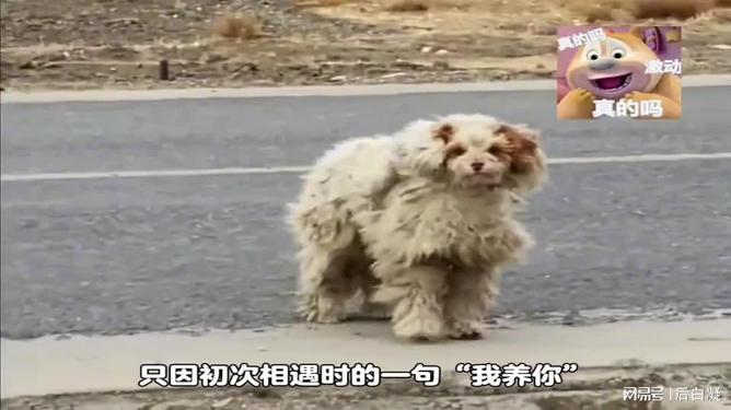 最新资讯 第33页